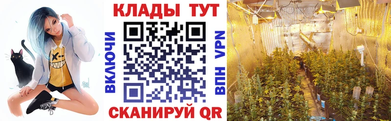 Где купить наркотики Новороссийск kraken ССЫЛКА Марихуана