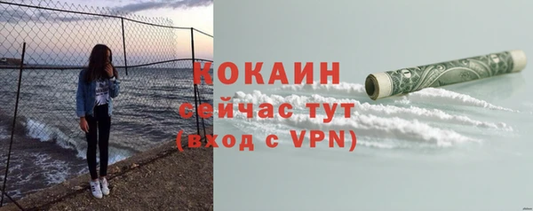 соль ск Богородицк