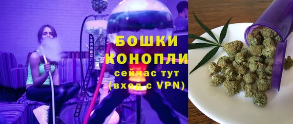 соль ск Богородицк