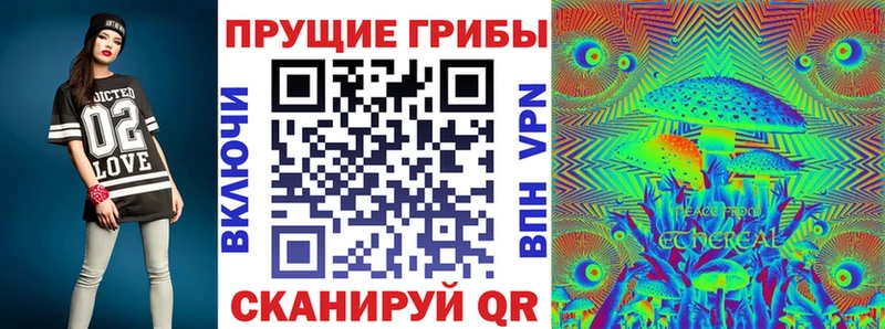 Галлюциногенные грибы Psilocybe  Новороссийск 
