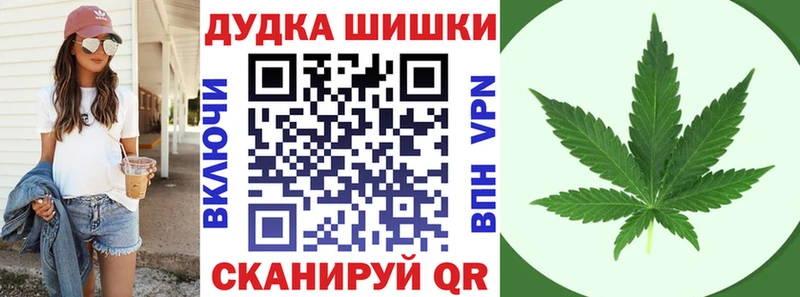 Конопля Bruce Banner  Новороссийск 